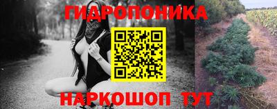 амф Заводоуковск